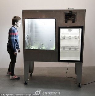 科技與味蕾的奇遇 軟件開發(fā)視角下的昆蟲巧克力